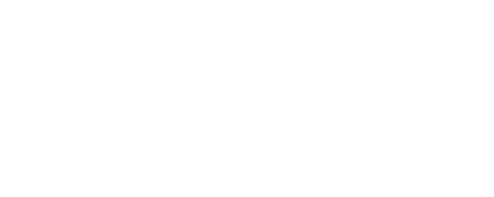 Orchid Sports Cars
